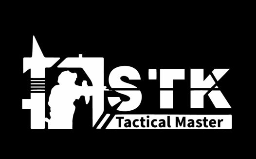 战术大师Logo设计