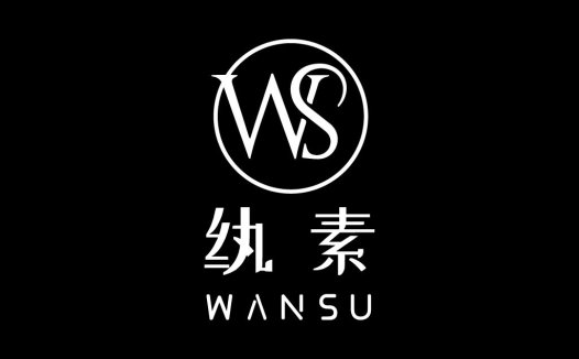 简约优雅WS字母logo设计