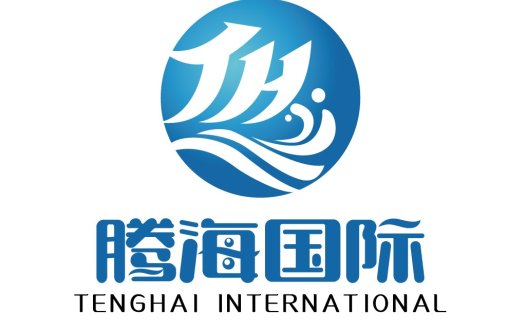 蓝色波浪国际公司logo设计