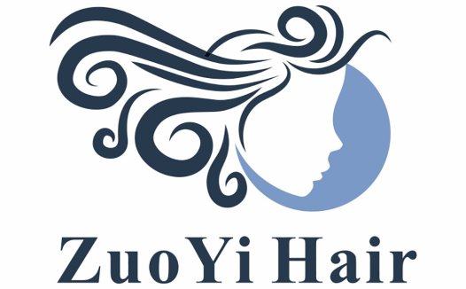 ZuoYiYi Hair Logo Design