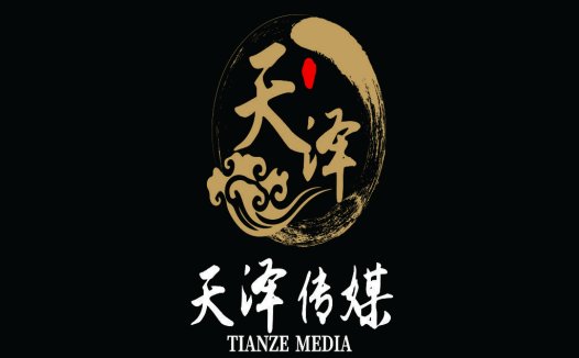 天泽传媒logo设计