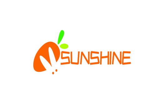 阳光品牌logo设计:简洁明快的视觉传达