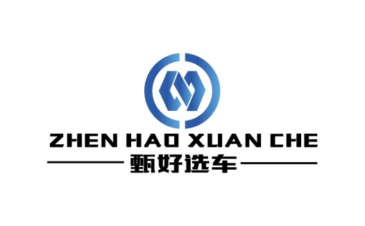 甄好选车logo设计