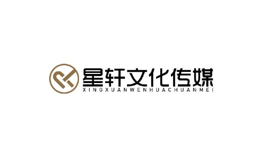星轩文化传媒logo设计