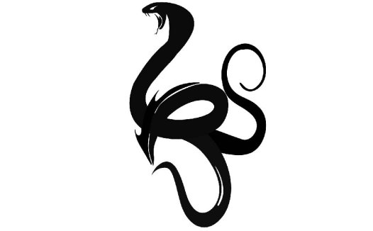 蛇形logo设计:简洁现代的视觉符号