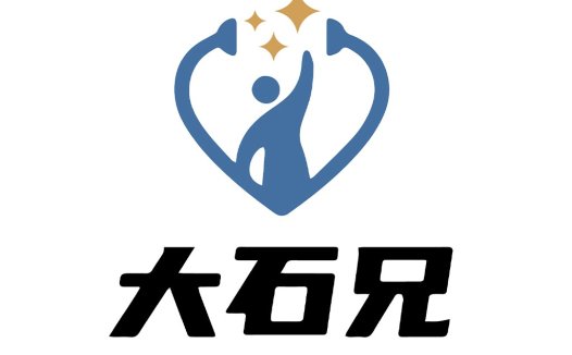携手共进,闪耀未来-大石兄logo设计