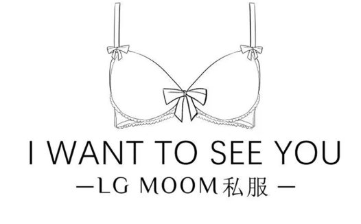 简约内衣品牌logo设计