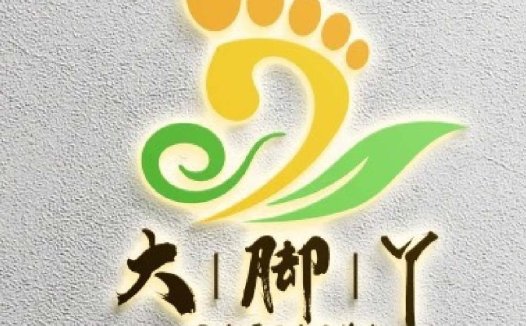 大脚丫-自然健康生活Logo设计