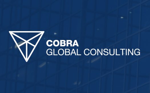企业咨询公司logo设计:简约现代风格