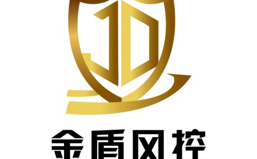 金盾风控logo设计