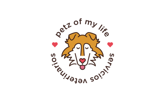 宠物生活服务logo设计