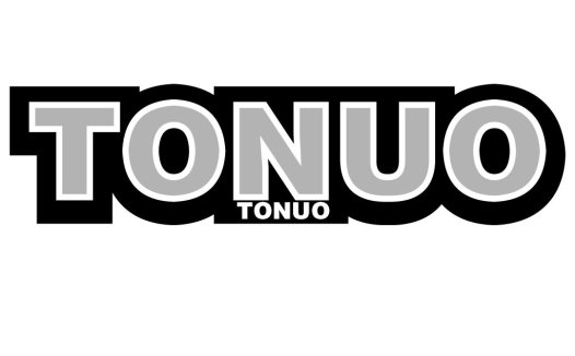 TONUO Logo设计:简约现代企业标识