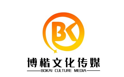 BOKAI文化媒体Logo设计