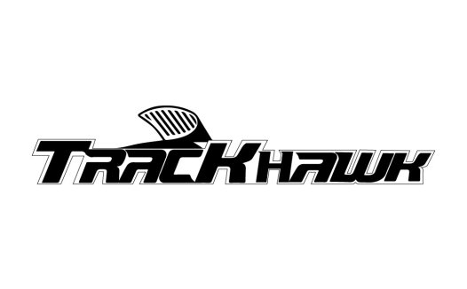 TrackHawk logo设计:简洁运动风标志