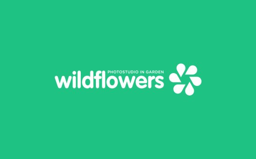 自然摄影工作室logo设计