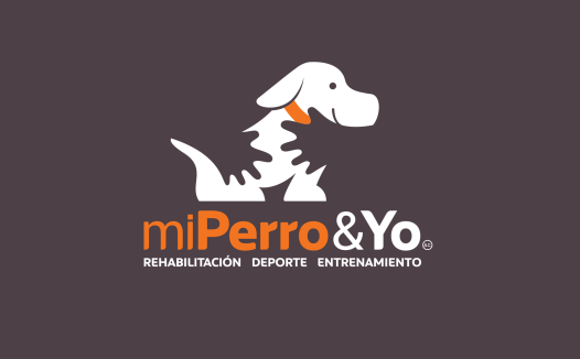 宠物康复与运动logo设计