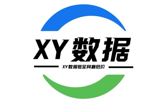 数据驱动的XY品牌logo设计