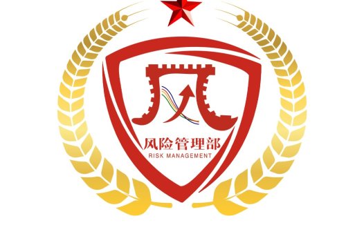 风险风险管理部logo设计