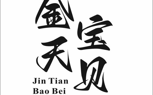 金天宝贝logo设计:简洁大气的中文字体