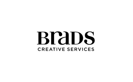 简约现代风格的BRADS logo设计