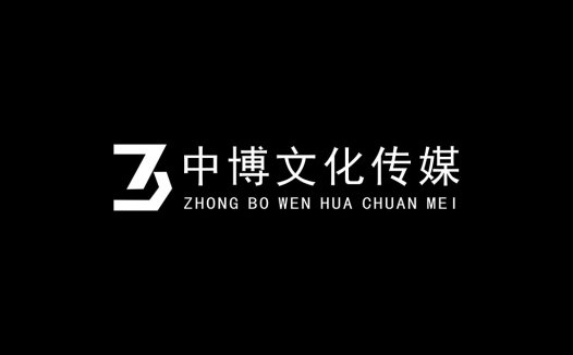 简洁现代中博博文化文化传媒logo设计
