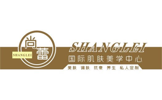 尚蕾国际肌肤美学中心logo设计