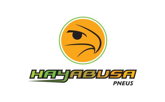 鹰眼logo设计:简洁有力的视觉传达