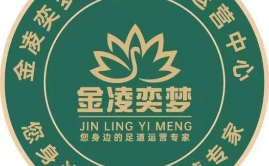 金凌奕梦足道托管logo设计