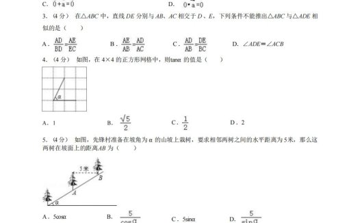 九年级(上)数学期末试卷4-1卷沪教版