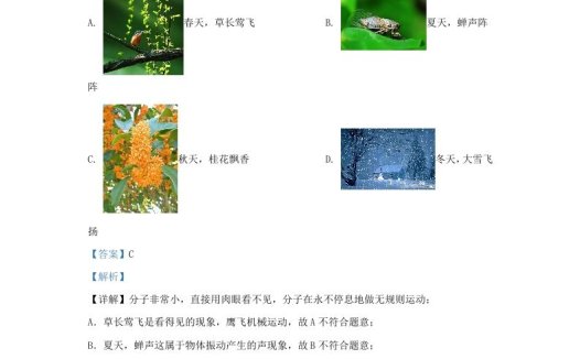 2023-2024学年陕西省西安市临潼区九年级上学期物理期中试题及答案(Word版)