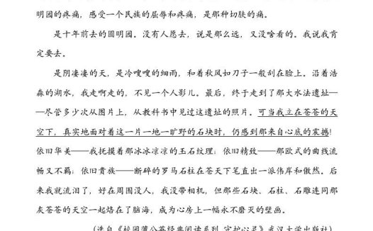 五年级语文上册类文阅读-14圆明园的毁灭（部编版）