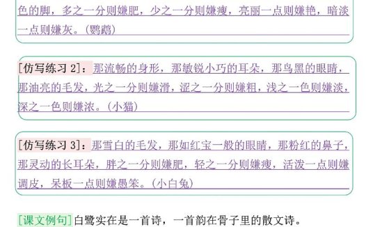 五年级上册语文重点仿写记录单（含答案30页）