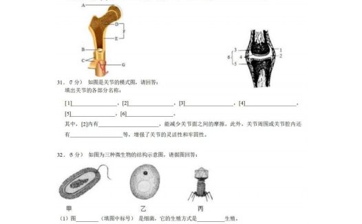 八年级（上）生物期中试卷2-2卷北师大版