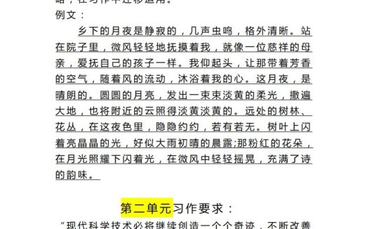 四（上）语文课后小练笔(考点）