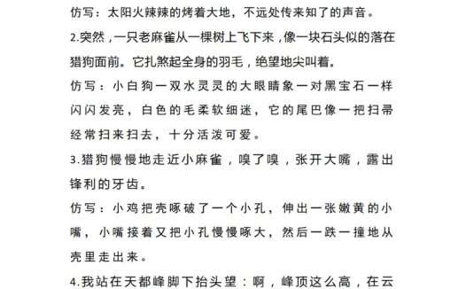 四（上）语文重点第5单元重点句子仿写