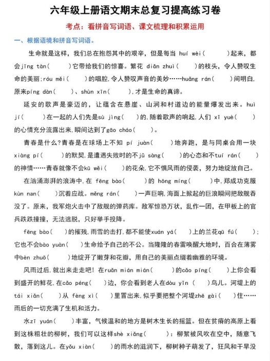 【期末总复习提高卷】六上语文
