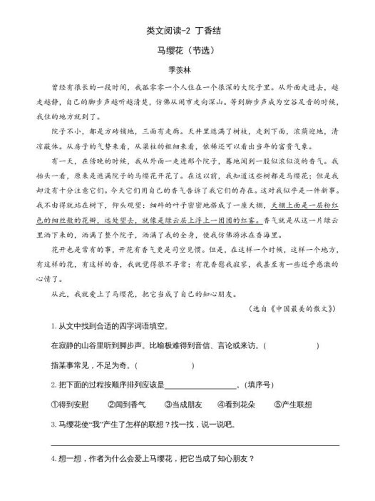 六年级语文上册类文阅读2丁香结（2）（部编版）